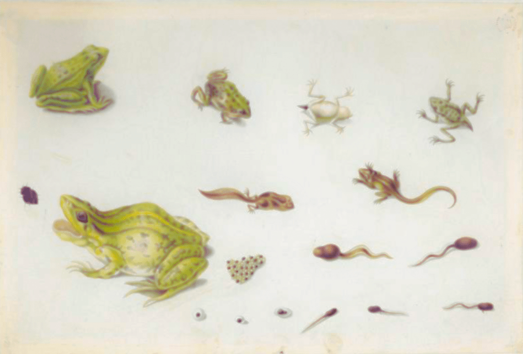 Observation, Parenting, and Becoming&nbsp;Real