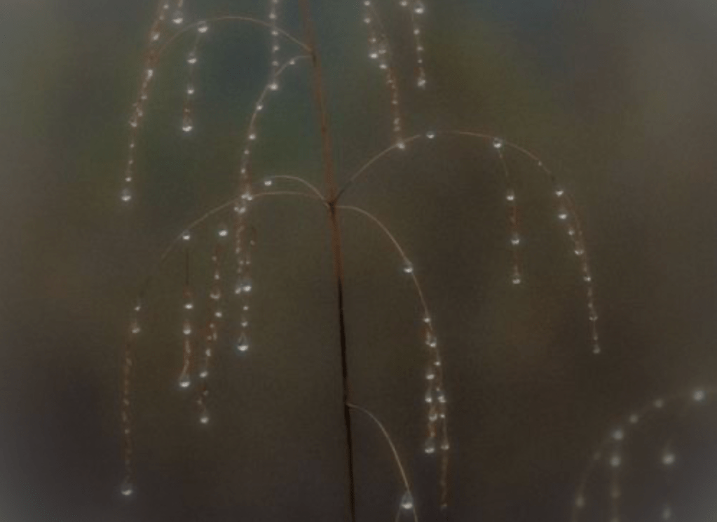 Love and Genetic&nbsp;Alchemy