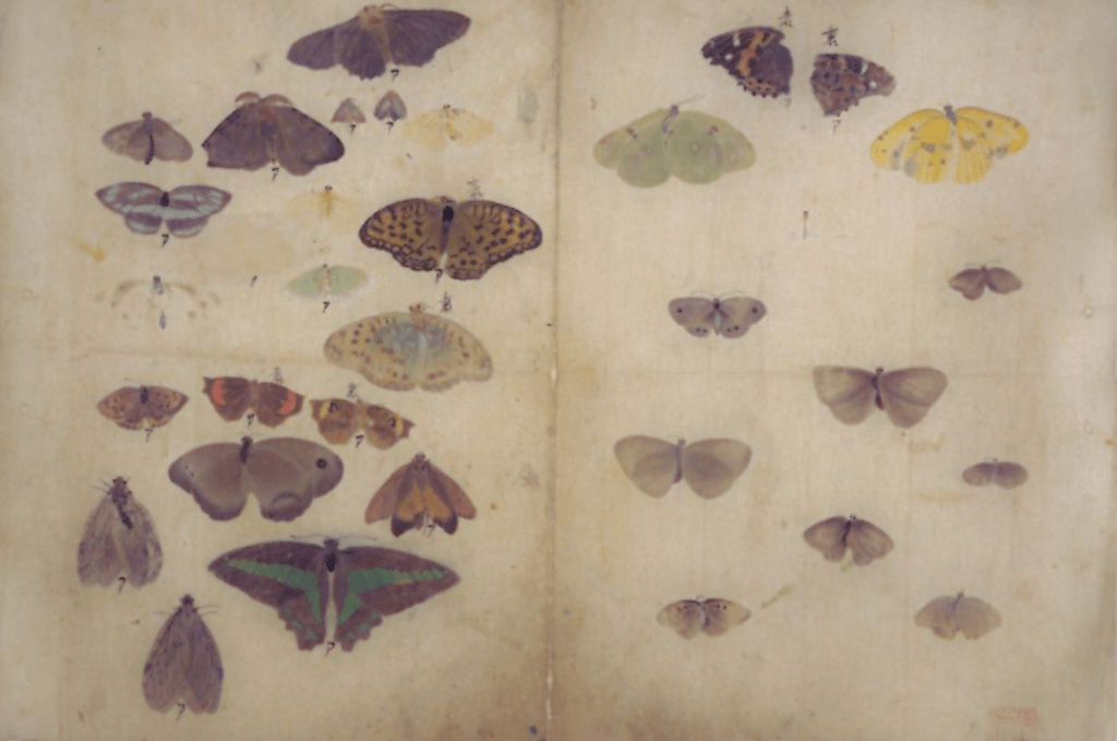 On the Impossible Task of&nbsp;Completion